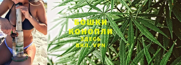 2c-b Надым
