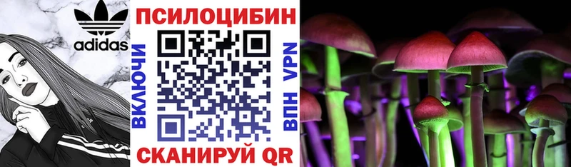 Купить  Гдов  Галлюциногенные грибы прущие грибы 