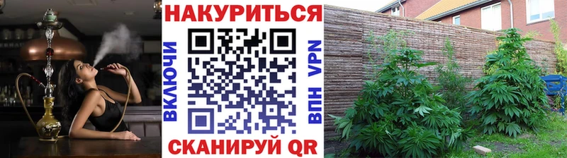 Канабис Ganja  Купить где  Гдов 